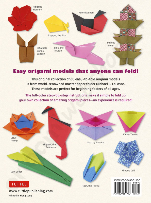 Boek Easy Origami For Beginners (Engels) De Origami