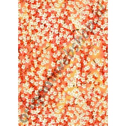 Allerlaatste Exemplaar! Origami Japanse Washi Chiyogami Traditioneel Bloemen