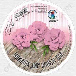 Vouwblaadjes Rond Roze 12 cm