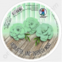 Vouwblaadjes Rond Mint 12 cm