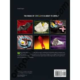 Boek 10-Fold Origami (Engels)