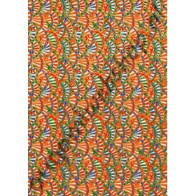 front_ok012147