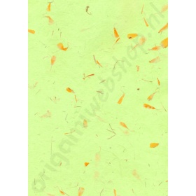 Handgeschept Lichtgroen Gekleurd Bloemen Papier 23 x 33 cm