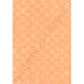 front_ol14682203