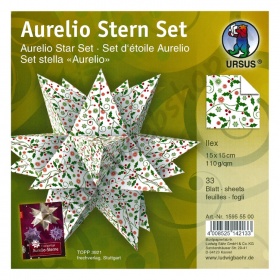 Origami Aurelio Sterren Set Ilex 15 x 15 cm