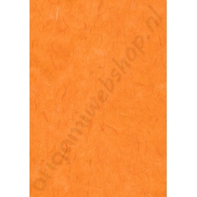 front_ol4812214