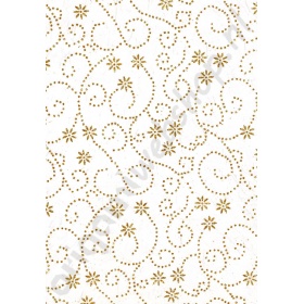 front_ol60600001