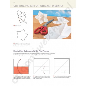 Boek Origami Ikebana - Benjamin John Coleman