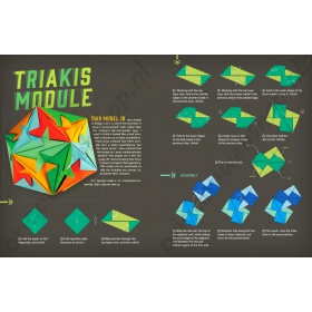 Boek Mind-Blowing Modular Origami (Engels)