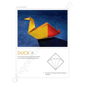 Boek 10-Fold Origami (Engels)