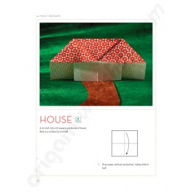 Boek 10-Fold Origami (Engels)
