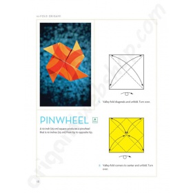 Boek 10-Fold Origami (Engels)